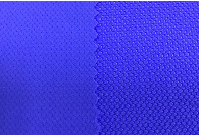 TN蝶網(wǎng)萊卡